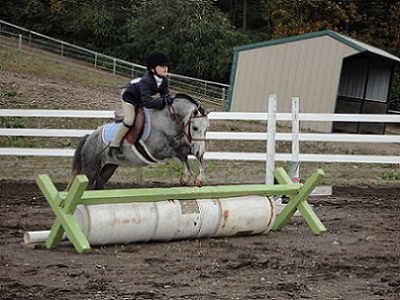 Small show pony for lease sale-cav barrels